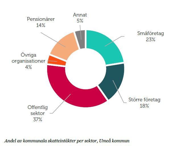 Umeå per sektor.jpg