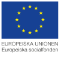 Europeiska socialfonden_logotyp_effekt.png