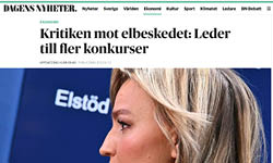 DN elstöd.jpg