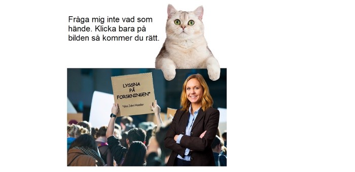 Fel länk.jpg